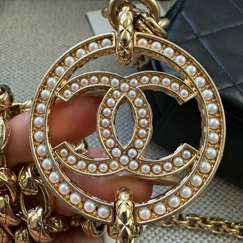 Chanel Camera Case - Picture 11 of 16